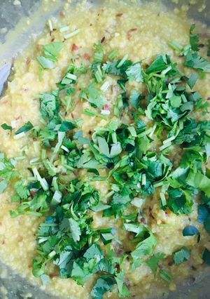 સામા ની ખીચડી (Sama Khichdi Recipe In Gujarati) રેસીપી મુખ્ય ફોટો
