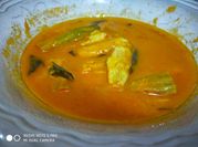 A picture of amla curry