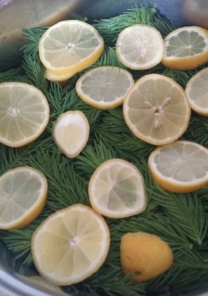 Fenyőszörp recept fotója