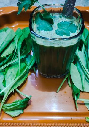 પાલક નું જ્યુસ (Palak Juice Recipe In Gujarati) રેસીપી મુખ્ય ફોટો