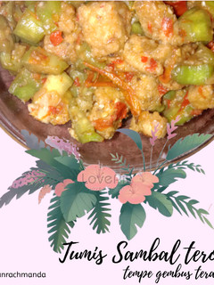 Foto resep Tumis sambal terong tempe gembus terasi
