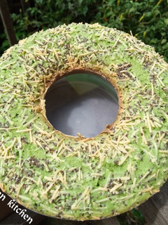Foto resep Bolu jadul pandan spekuk chia seed