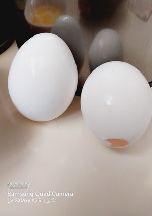 عکسی از دستور تخم مرغ تو خالی برای سفره هفت سین