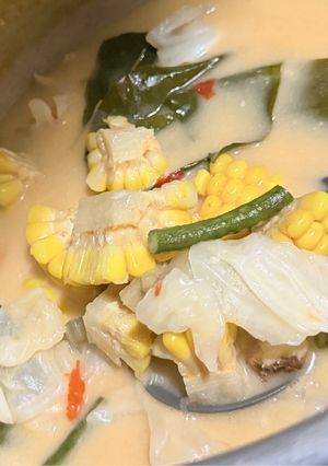 Foto resep Sayur lodeh santan
