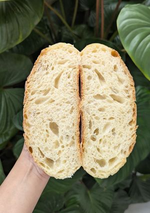 Foto resep Basic sourdough (65% hydration)