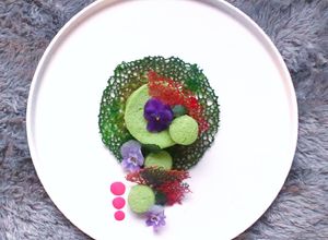 Foto resep Coral Tuile (Garnish)