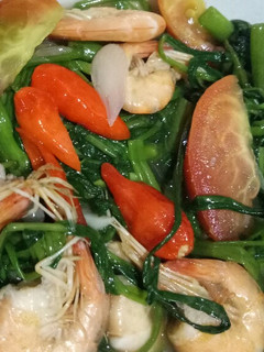 Foto resep Tumis kangkung udang saos tiram