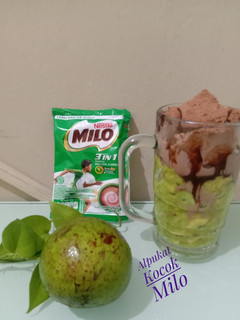 Foto resep Alpukat Kocok Milo