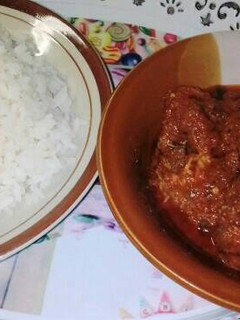 A picture of Rice and stew.