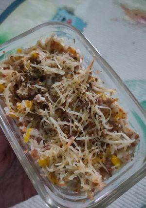 Foto resep Schotell nasi panggang