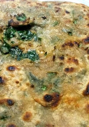 A picture of Palak paratha.