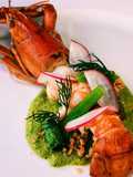 กุ้งก้ามแดงลุยสวน