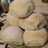 Pan Blaa irlandés