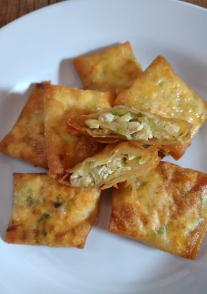 Foto resep Martabak telur kulit pangsit