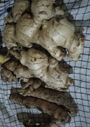 Foto resep Tips menyimpan rimpang tanpa serbet tahan sampai sebulan lebih