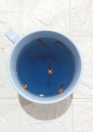 Foto resep 840. Teh cengkeh telang