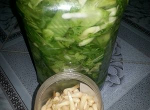 Hình của món Cách muối dưa cải chua.