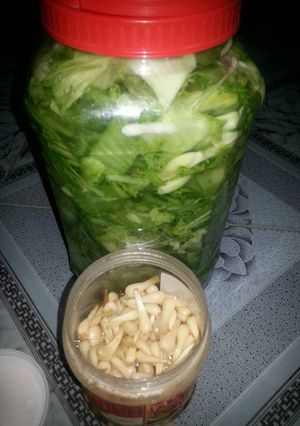 Hình của món Cách muối dưa cải chua.
