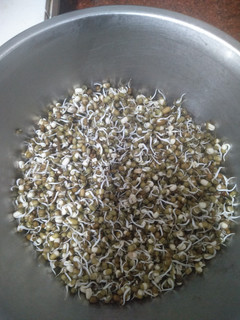 स्प्राउट्स (Sprouts recipe in hindi) रेसिपी मुख्य फोटो
