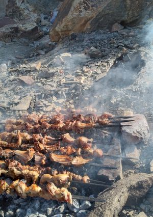 عکسی از دستور کباب
