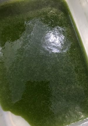 Foto resep DIY cincau