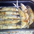 Sardinas Frescas al Horno