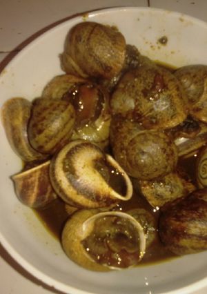 صورة لوصفة حلزون 🐌