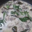 Chicken stew