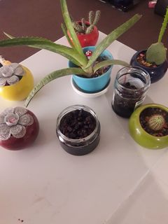 عکسی از دستور مربای توت سیاه