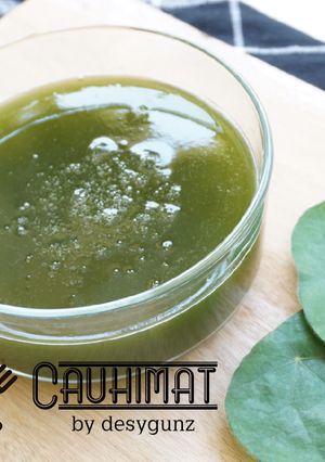 Foto resep CauHimat (Cincau Hijau Rambat)