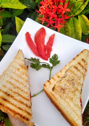 A picture of Tomato and Cheese Sandwich.