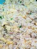 Chinese Salty Fish Chicken Fried Rice 咸魚雞粒炒飯