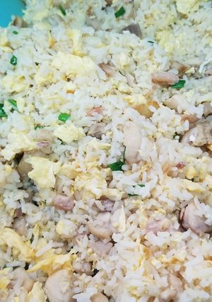 A picture of Chinese Salty Fish Chicken Fried Rice 咸魚雞粒炒飯.