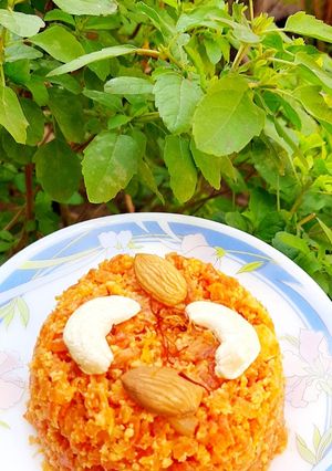 ગાજર હલવો (Gajar Halwa Recipe In Gujarati) રેસીપી મુખ્ય ફોટો