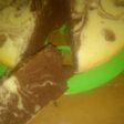 Bizcochuelo súper fácil sin leche