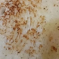 A picture of Roasted bread.