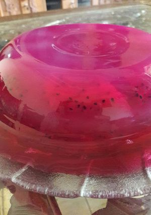 Foto resep Hylocereus undatus Pudding