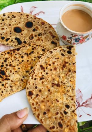 પાપડ સ્ટફ પરાઠા(papad stuff parotha recipe in gujarati) રેસીપી મુખ્ય ફોટો