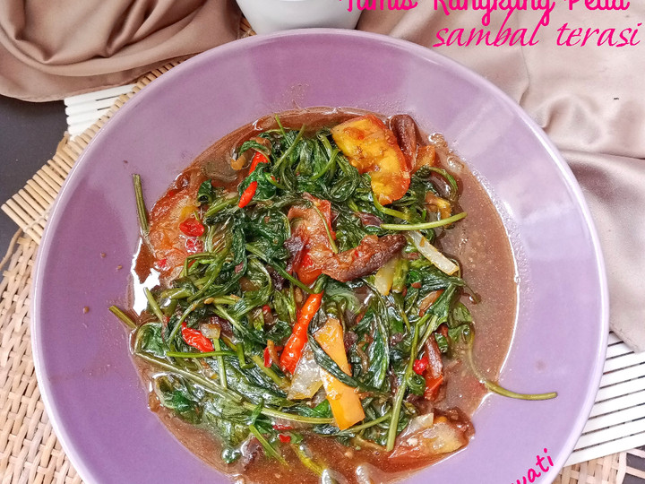 Cara Gampang Membuat Tumis Kangkung Peda Sambal Terasi, Bikin Ngiler
