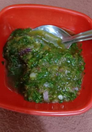 A picture of Onion coriander Chutney.