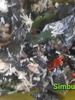 Foto resep 95. BOTOK SIMBUKAN