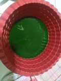 Ekstrak Daun Pandan Suji