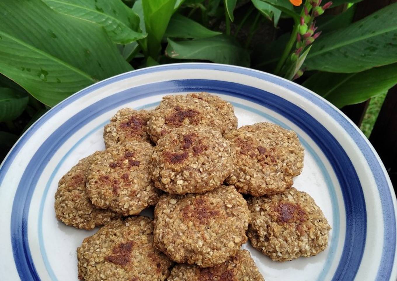 Galletitas veganas saludables -banana y manzana- 🍪🍪 :)