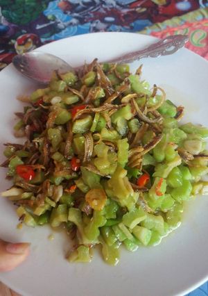 Foto resep Tumis Pare Teri Pedas