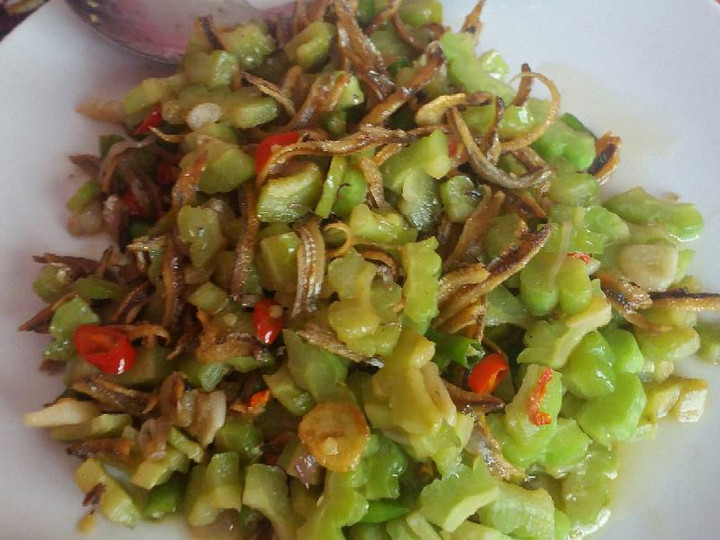 Resep Tumis Pare Teri Pedas yang Enak