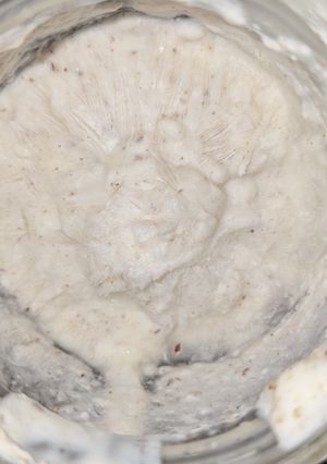 A picture of Keto Greek yogurt cheese with rose water.