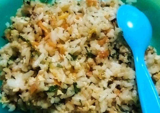 MPASI 11 bulan nasi goreng wortel orak arik telor