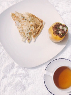 A picture of Toasted omelette with stir fry miced meat.