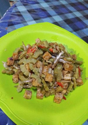 Foto resep Tumis pare teri