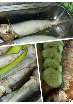 Foto resep Otak otak Bandeng